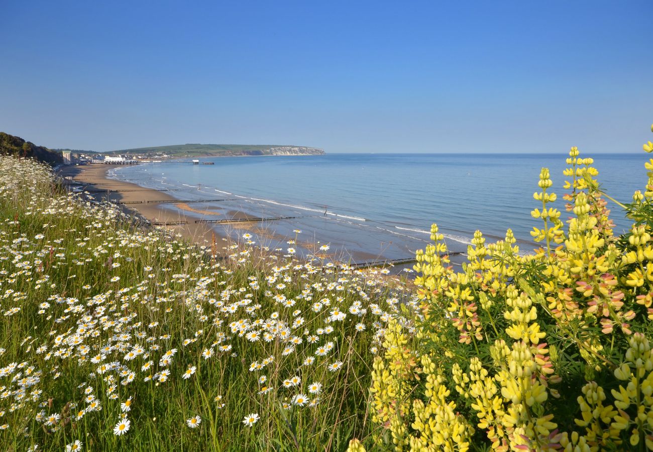 Chalet in Sandown - Tomhill Briary - Isle of Wight